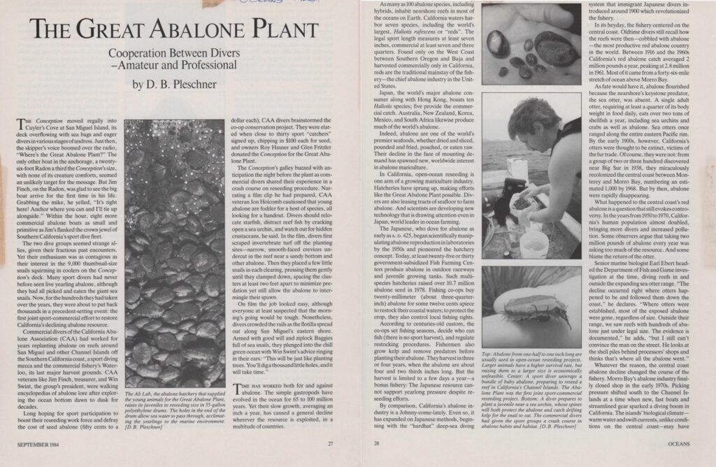 Great Abalone Plant | Read article