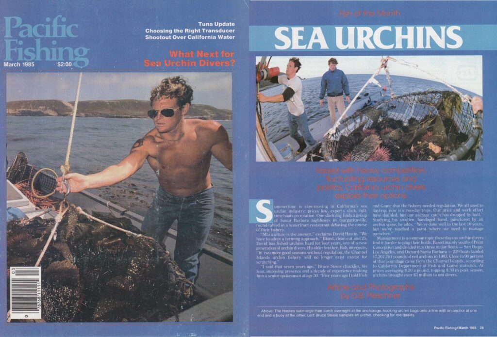 Sea Urchin Divers | Read article