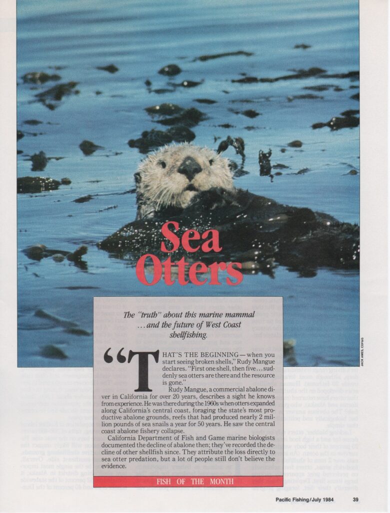 Sea Otters | Read article